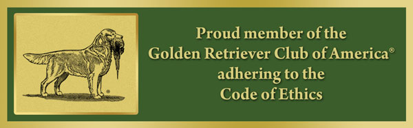 Gravitas Goldens Member Golden Retriever Club of America